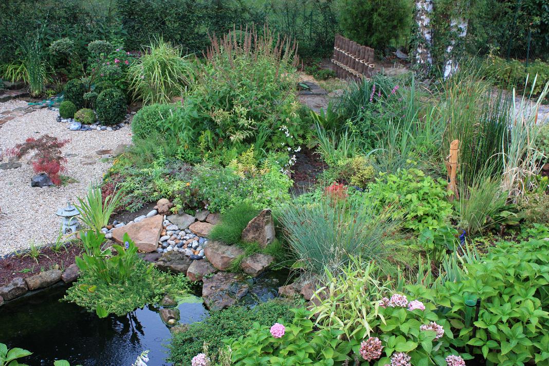 assainissement lagunage